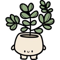 cute succulent