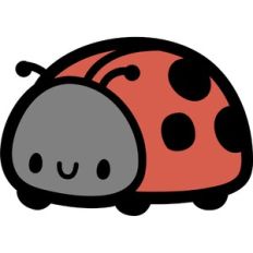 cute ladybug
