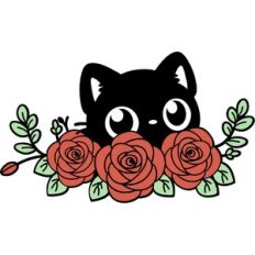 black cat with roses