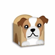 bulldog box