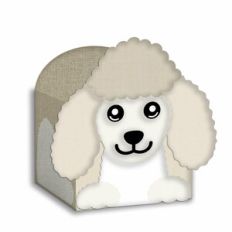 poodle dog box