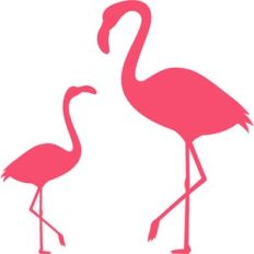 flamingos silhouette