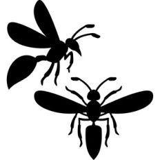 wasp silhouette