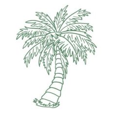Palm
