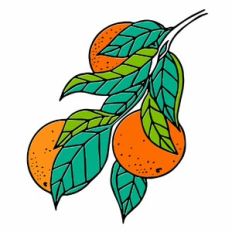 Oranges