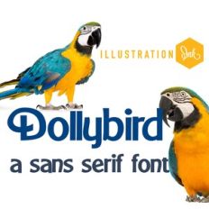 ZP Dollybird Bold