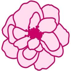 Camellia Flower