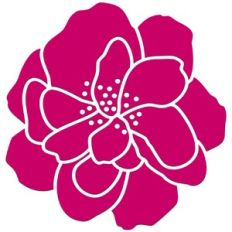 Camellia Flower