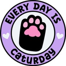 Every Day is Caturday