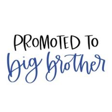 Promoted to Big Brother