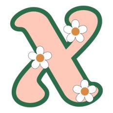 Daisy Monogram Shaker Letter x
