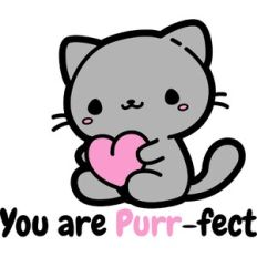 cute cat with heart