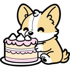 cute corgi with a birthday cake