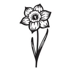 Daffodil - March birth month flower