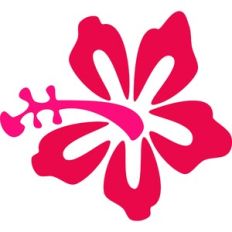 Hibiscus Flower