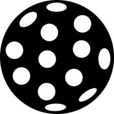 Pickleball Silhouette