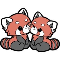red panda couple