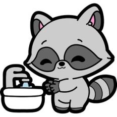 washing hands raccoon