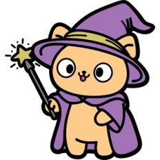 fantasy wixard cat