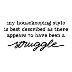 my housekeeping style is best described as there appears to have been
