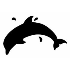 Dolphin