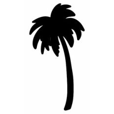 Palm Tree