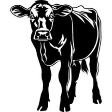 cow