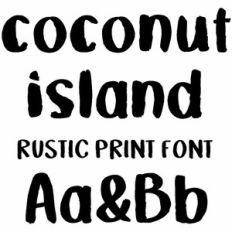Coconut island rustic print font