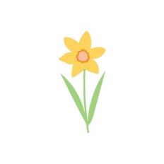 Daffodil