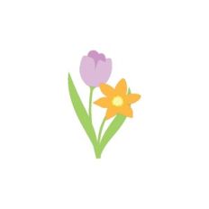 Tulip And Daffodil