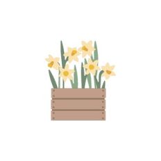 Daffodil Crate