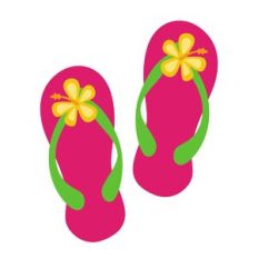 Flip Flops