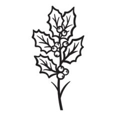 Holly - December birth month flower
