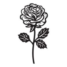 Rose - June birth month flower