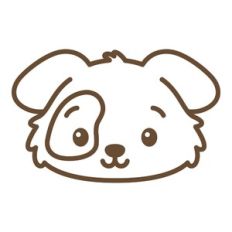 Cute dog face