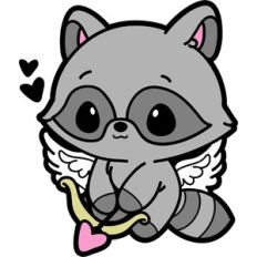 cupid raccoon