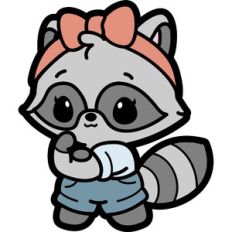raccoon we can do it!