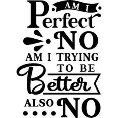 Perfect No Trying To Be Better No