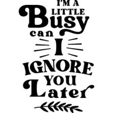 I'm Busy Can I Ignore You Later