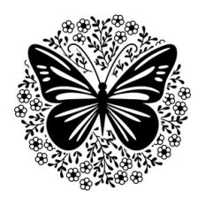 Butterfly and Flowers