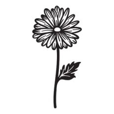Daisy - April birth month flower