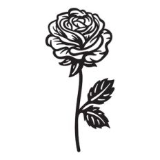 Rose - June birth month flower