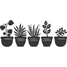 house plants