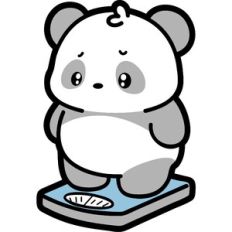 panda on a scale