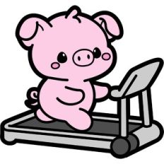 cute pig on a treadmill