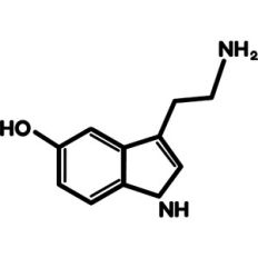 serotonin