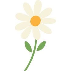 Daisy