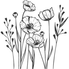 wildflowers