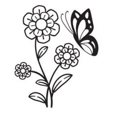 Flowers and Butterfly