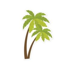 Palm Tree